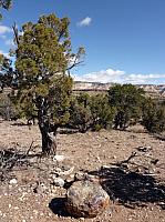 Escalante state park (20).JPG